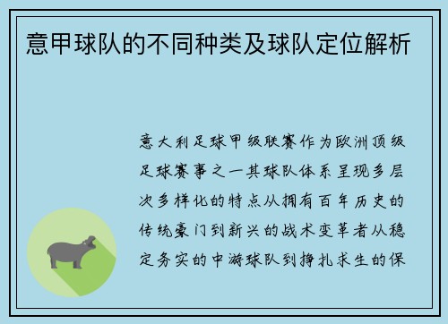 意甲球队的不同种类及球队定位解析